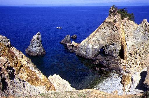 �ɓ��P�X�X�X