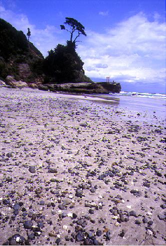 �g�ɂ������