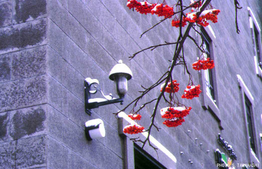 �Ԃ����@�U