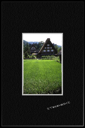 ���싽�E�W��