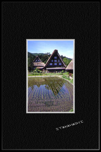 ���싽�E�T��