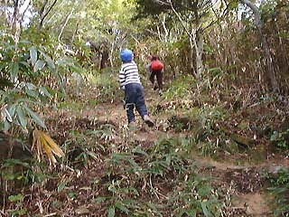 �����Ȃ�}�o