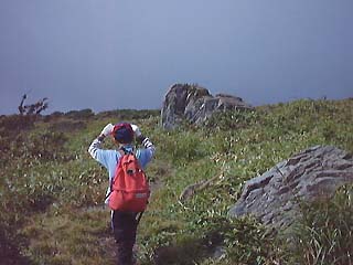 �t�g�E�K��̒��O