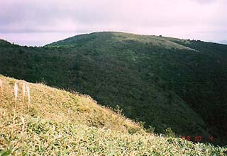 �t�g�E�K���]��