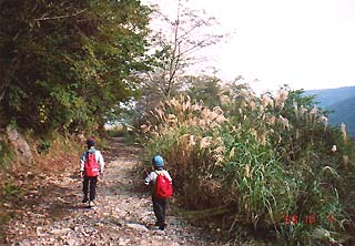 �ѓ�����