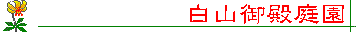 ���ΐ�A����