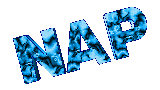NAP LOGO