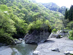 Maruiwa