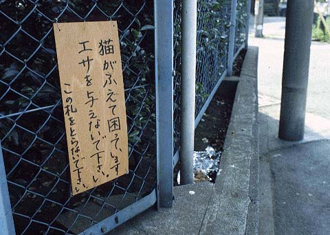 Cat's Food Crisis 2