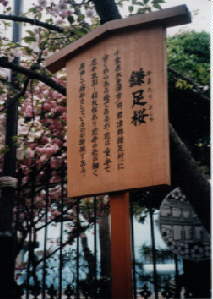 大阪造幣局の看板