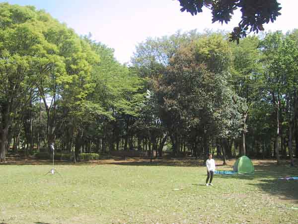 洞峯公園開空間