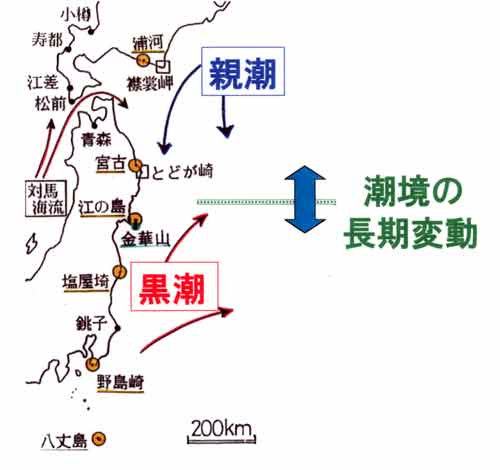 親潮と黒潮の潮境