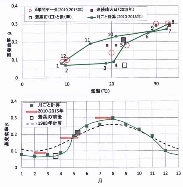 蒸発効率の季節変化