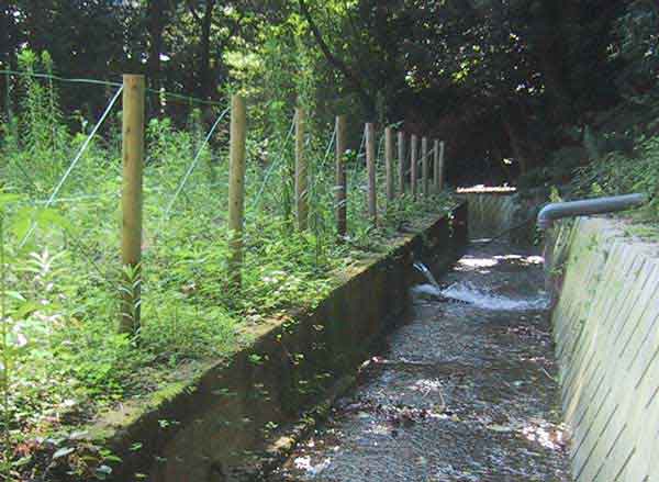 白笹稲荷神社ポンプ