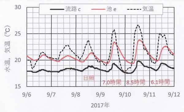 水温日変化9月6-11日