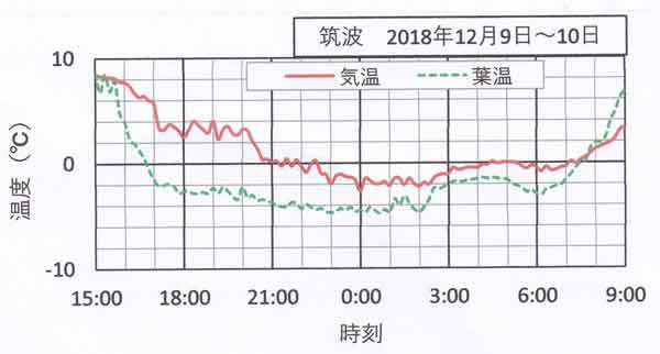 12月9日