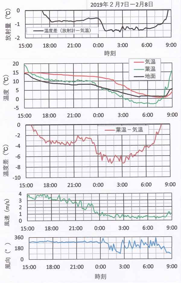 2月7日