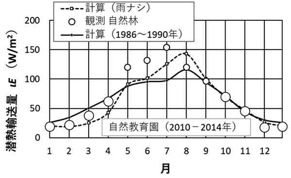 教育園、潜熱の季節変化