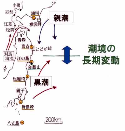 三陸沖の親潮黒潮模式図