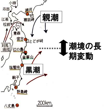 暖流と寒流の潮境