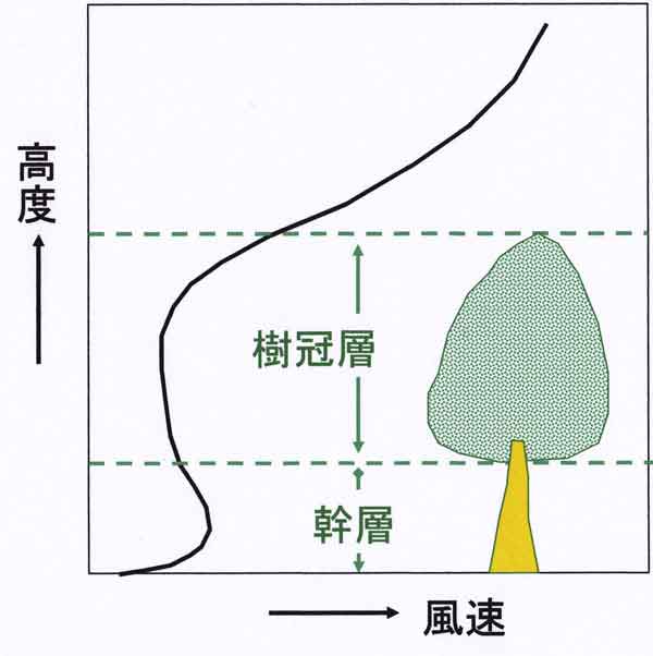 森林内風速摸式図