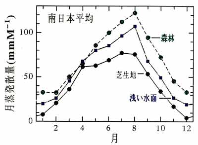 森林・湖・芝生地の蒸発散量季節変化