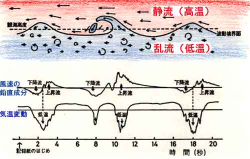 静の構造