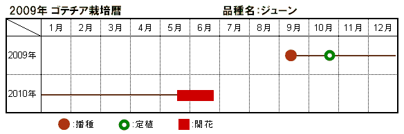 2009N Se`A͔|