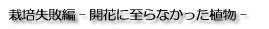 栽培失敗編