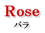 Rose o