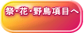ՁEԁE쒹ڂ
