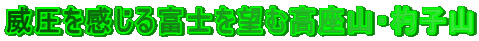 Јxm]ލREێqR 