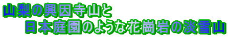 R̋R @@{뉀̂悤ȉԛ̒WR 