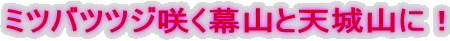 ~coccW炭RƓVRɁI 