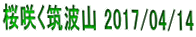 炭}gR 2017/04/14 
