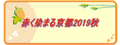Ԃ܂鋞s2019H 