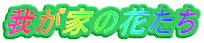 䂪Ƃ̉Ԃ 