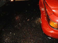 ���̒���̗l�q