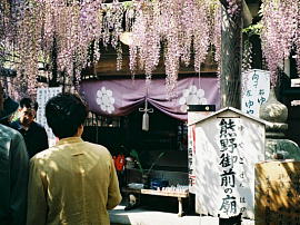 toyodatyo-fuji007ms.jpg^LcEF̒