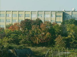 hamaike269.jpg^t䒆wZ