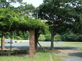 higashiakasawa-akasawajinja013s.jpg^V_