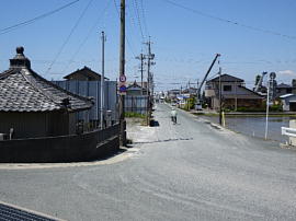 PXE/02hamamatsu-shiratori09s.jpg