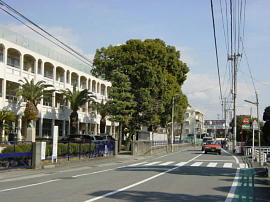 fuji-honmachi265s.jpg^xm{