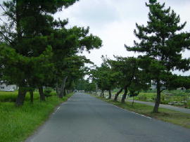 harakawa174s.jpg^쏼