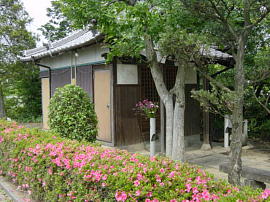 ishiyakushi106s.jpg^Ζth