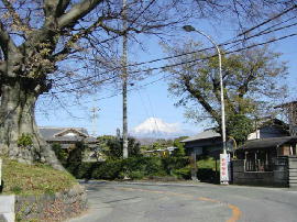 iwabuti023s.jpg^⟺ꗢ