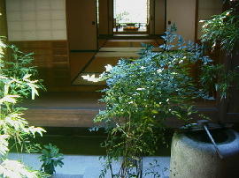 maisaka-wakihonjin31.jpg^he{w^ؒ납