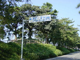nishikida237s.JPG^ѓcꗢ