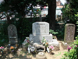 sakaigi2-001s.jpg^؁E