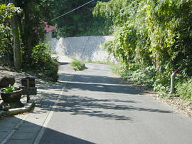 sasaharasinden-kowameshizaka195s.JPG^э